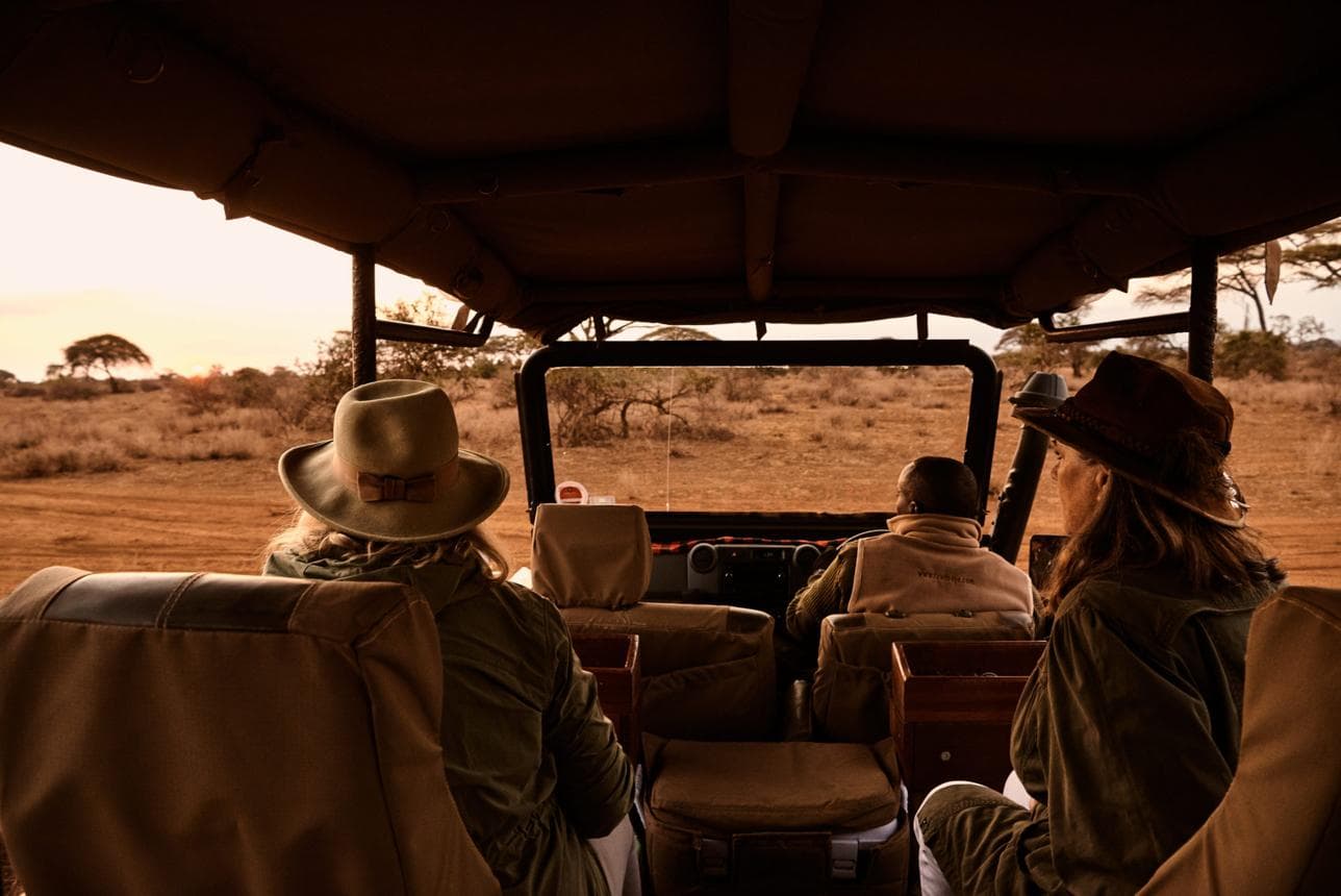 Cumple tus sueños: Descubre Sudáfrica y la magia de África con Africa Para Ti